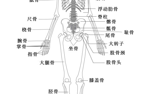 孕妇营养针-胎儿 营养针网 - 为你提供孕妇营养针、胎儿营养针要住院打吗